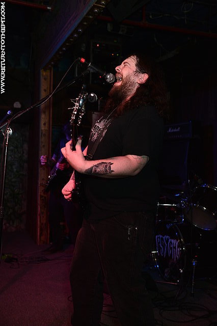 [cactus hag on Jan 16, 2016 at Ralph's (Worcester, MA)]