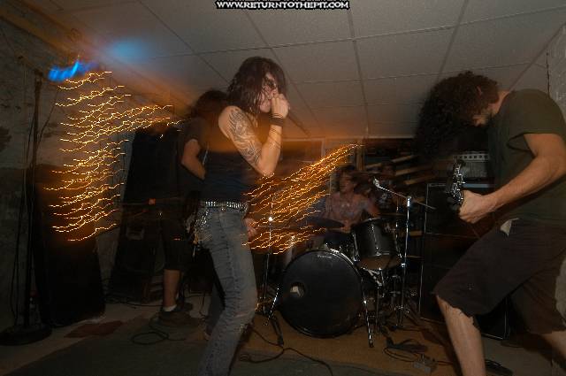 [flowers in the attic on Aug 24, 2005 at the Library (Allston, Ma)]