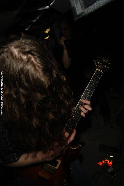 [manx on May 20, 2005 at the Library (Allston, Ma)]