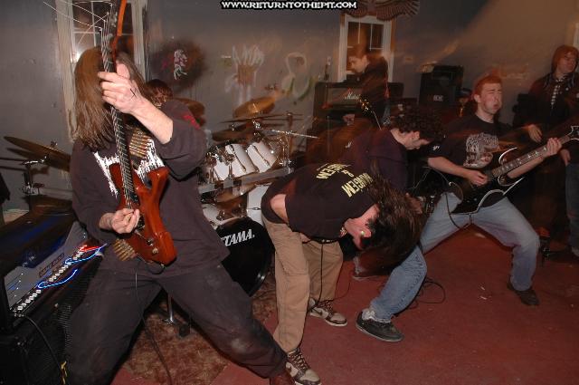 [mucopus on Dec 5, 2004 at Aviary (Dover, NH)]